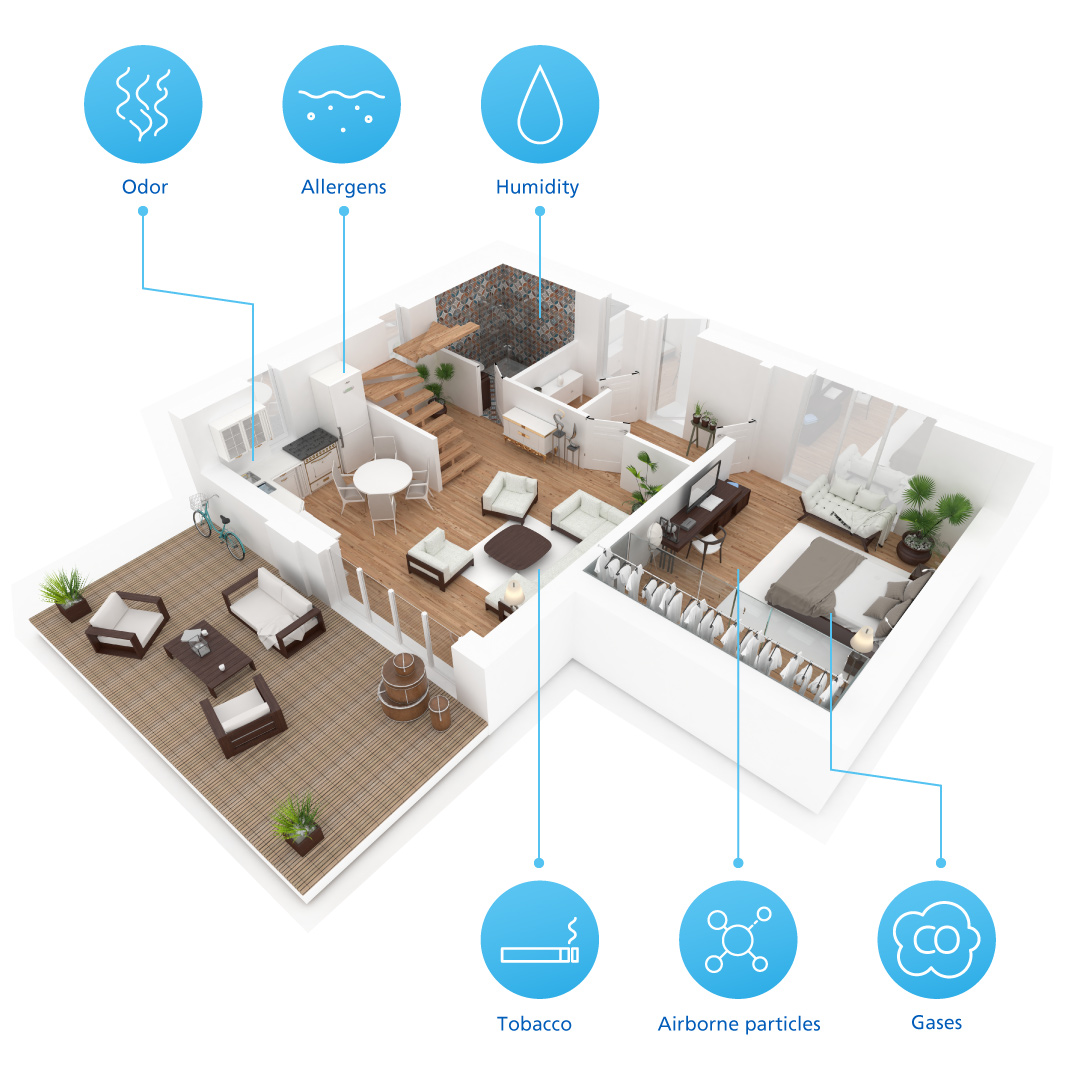 Pollution in the Home